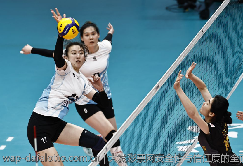 大发彩票网安全性与信任度的全面评测