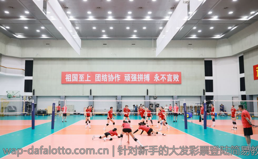 针对新手的大发彩票登陆简易教程