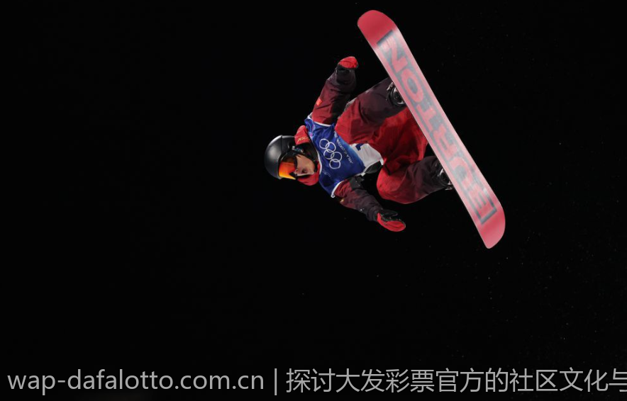探讨大发彩票官方的社区文化与社交功能